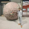 Sourabh Patle