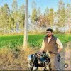 Ankush Mirok