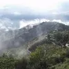 Shah Zyb