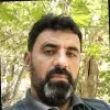 mesut alış