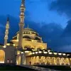 Shouk Alshamsi