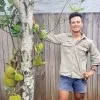 Mick Hua