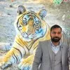 Yogesh Gupta