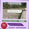 Madhu Reddy