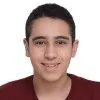 Youssef Lamei