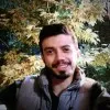 Hamed