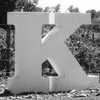 Kapil Yadav