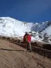 Fernando Parada