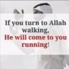 abul qasim