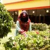Nayab Nisar