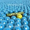 santoshini