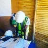 mbuso buthelezi