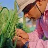 Saurav Kumar