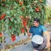 eniganti saiman