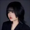 An Do Hien