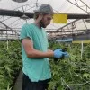 Eyal Solomoviz