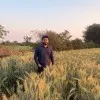Viraj Wagh