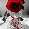 USMAN SHAH