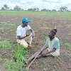 Peter Akau Garang