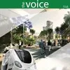 The Voice Newsletter