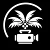 Palm Tree Ave