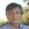 Bernard Webber