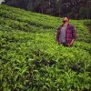 Harsha Reddy