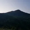 Ngo Cuong