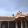 Rishi Jain