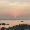 Aswathi PK
