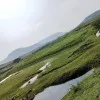 Sunil Garad