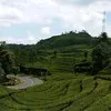 Bima Albar Warman