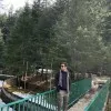 Urav Farooqui