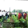 Swapnil Warhade