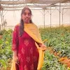 Haritha Poornima Narayana
