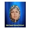 Mai Sayed