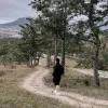 Khai Bui