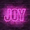 joy mahmud