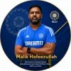 Malik Hafeez