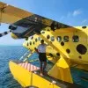 Nikita Alwis