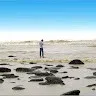 Alam