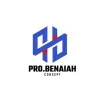 ProBenaiah Concept LLC