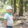 jul irfan nainggolan