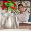 NIRBHAY PRATAP
