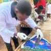Donkor Mensah