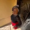 Tolulope Ogunwale