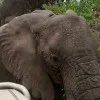Shabani Nasibu