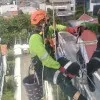 pendi lesmana