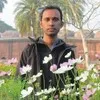 Md Mahmudul Hasan