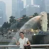 Shirley Xu